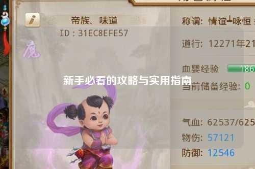 新手必看的攻略與實(shí)用指南