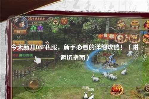 今天新開DNF私服，新手必看的詳細攻略！（附避坑指南）