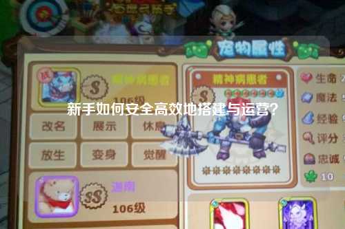 新手如何安全高效地搭建與運營？