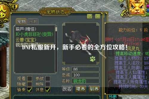 DNF私服新開，新手必看的全方位攻略！