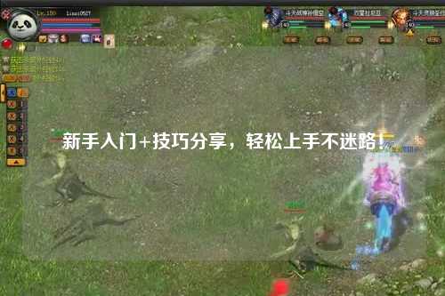 新手入門+技巧分享，輕松上手不迷路！