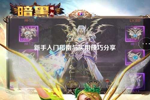 新手入門指南與實用技巧分享?