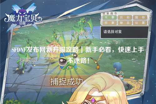 SFDNF發布網新開服攻略｜新手必看，快速上手不迷路！