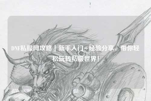 DNF私服網攻略｜新手入門+經驗分享，帶你輕松玩轉私服世界！
