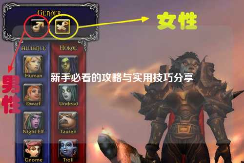 新手必看的攻略與實用技巧分享