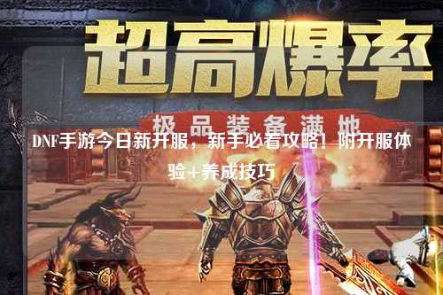 DNF手游今日新開服，新手必看攻略！附開服體驗+養成技巧