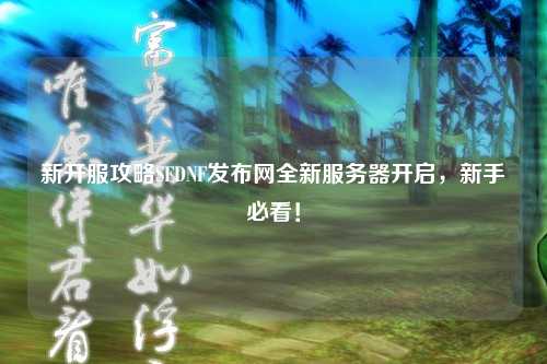 新開服攻略SFDNF發布網全新服務器開啟，新手必看！