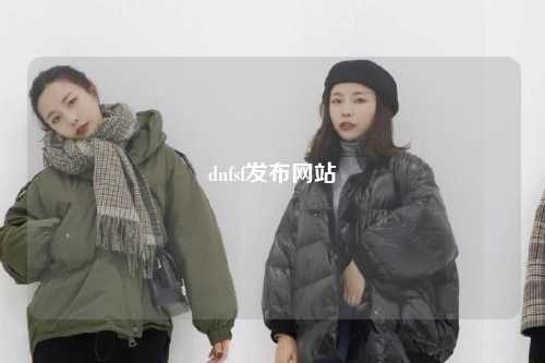 dnfsf發(fā)布網(wǎng)站