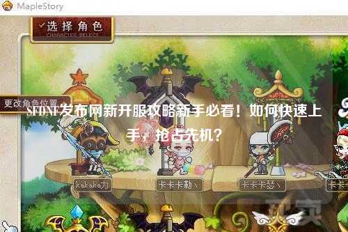 SFDNF發(fā)布網(wǎng)新開服攻略新手必看！如何快速上手，搶占先機？