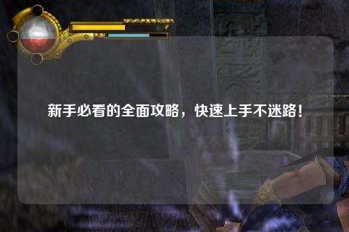 新手必看的全面攻略，快速上手不迷路！