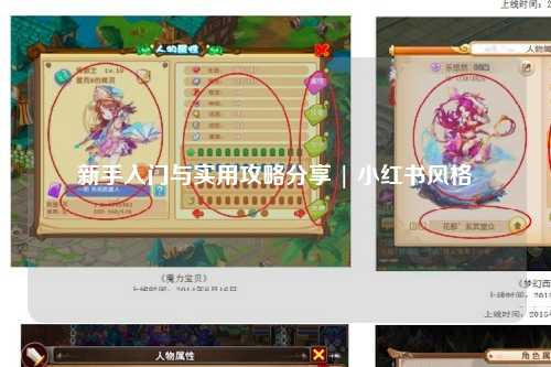 新手入門(mén)與實(shí)用攻略分享 | 小紅書(shū)風(fēng)格