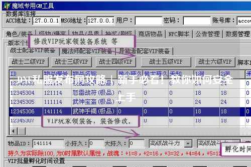DNF私服發布網攻略 | 新手必看！教你如何安全上手