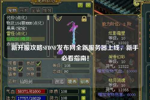 新開(kāi)服攻略SFDNF發(fā)布網(wǎng)全新服務(wù)器上線(xiàn)，新手必看指南！