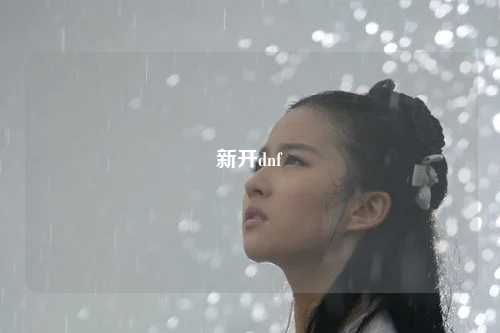 新開dnf