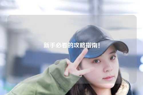 新手必看的攻略指南！