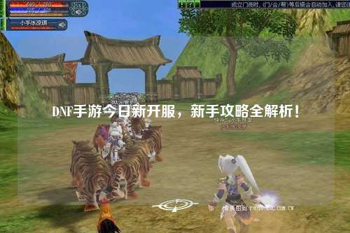 DNF手游今日新開服，新手攻略全解析！