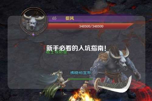 新手必看的入坑指南！