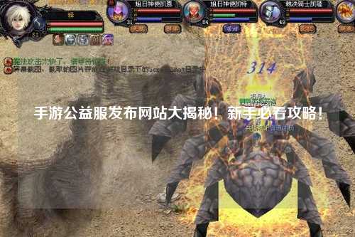 手游公益服發(fā)布網(wǎng)站大揭秘！新手必看攻略！