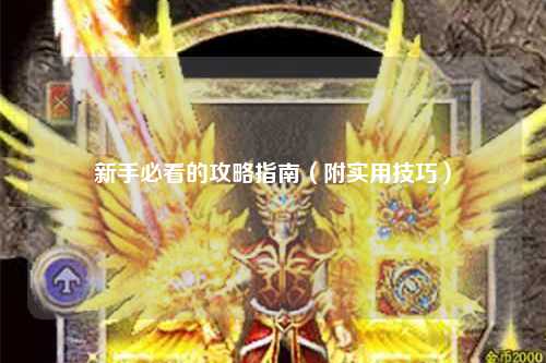 新手必看的攻略指南（附實用技巧）