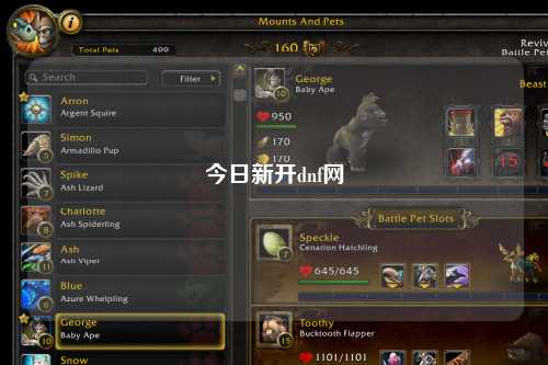 今日新開dnf網(wǎng)