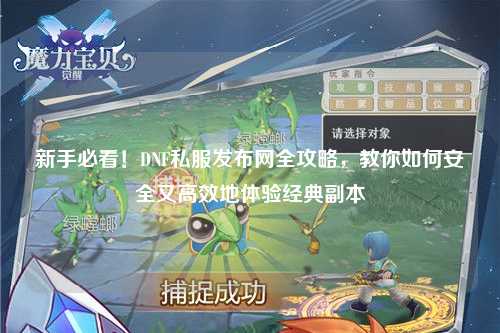 新手必看！DNF私服發布網全攻略，教你如何安全又高效地體驗經典副本