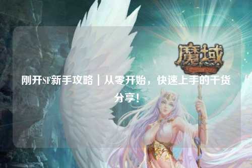 剛開SF新手攻略｜從零開始，快速上手的干貨分享！